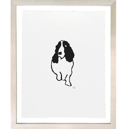 King Charles Spaniel